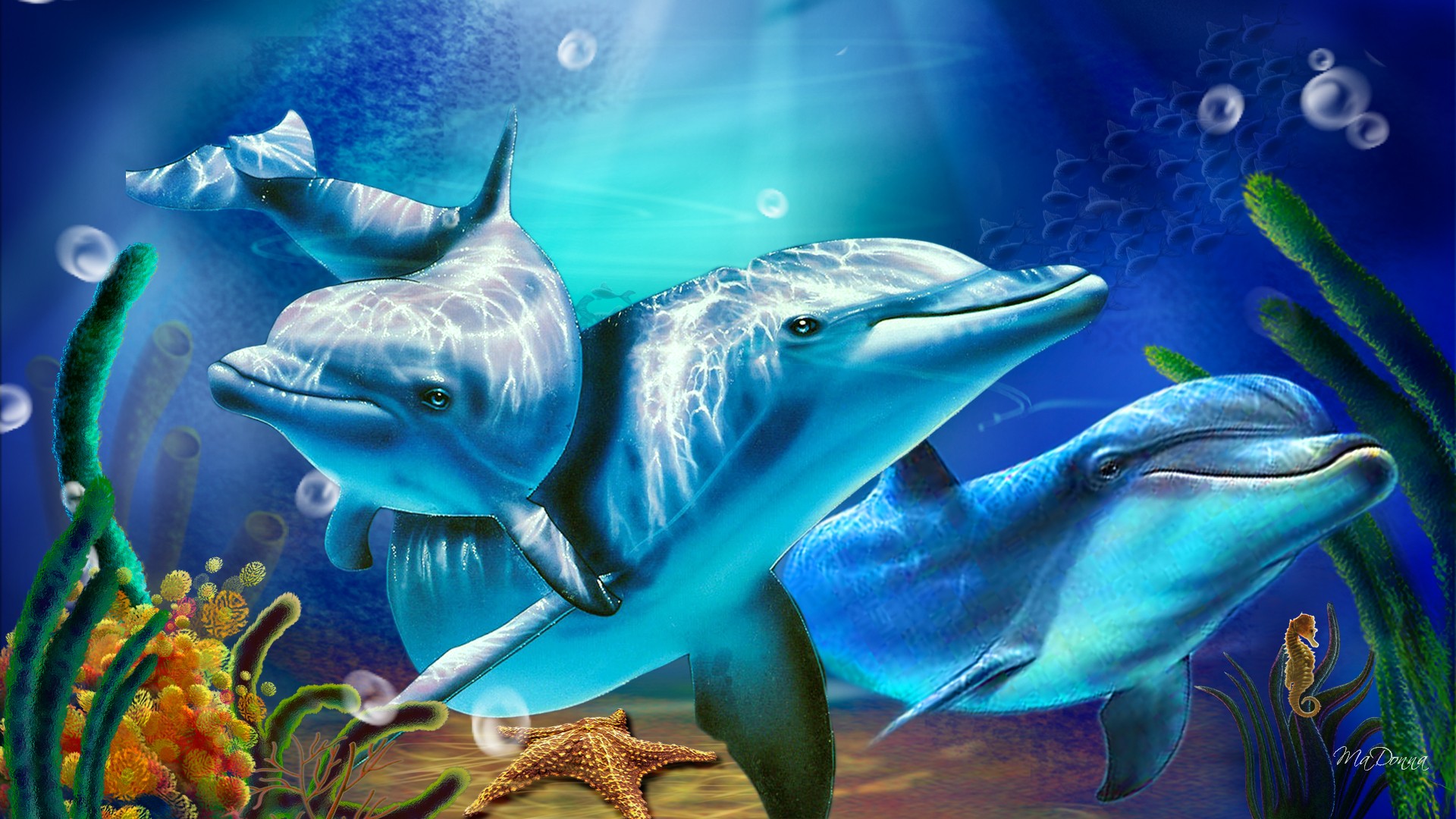 3d dolphin wallpaper,dolphin,common bottlenose dolphin,marine biology,marine mammal,cetacea