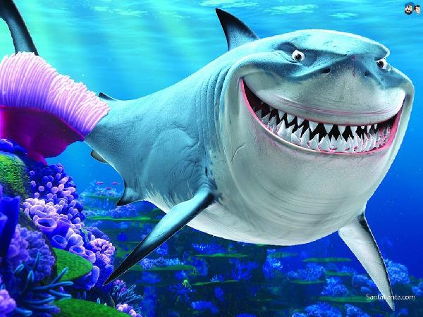 3d shark wallpaper,fish,shark,great white shark,fish,cartilaginous fish