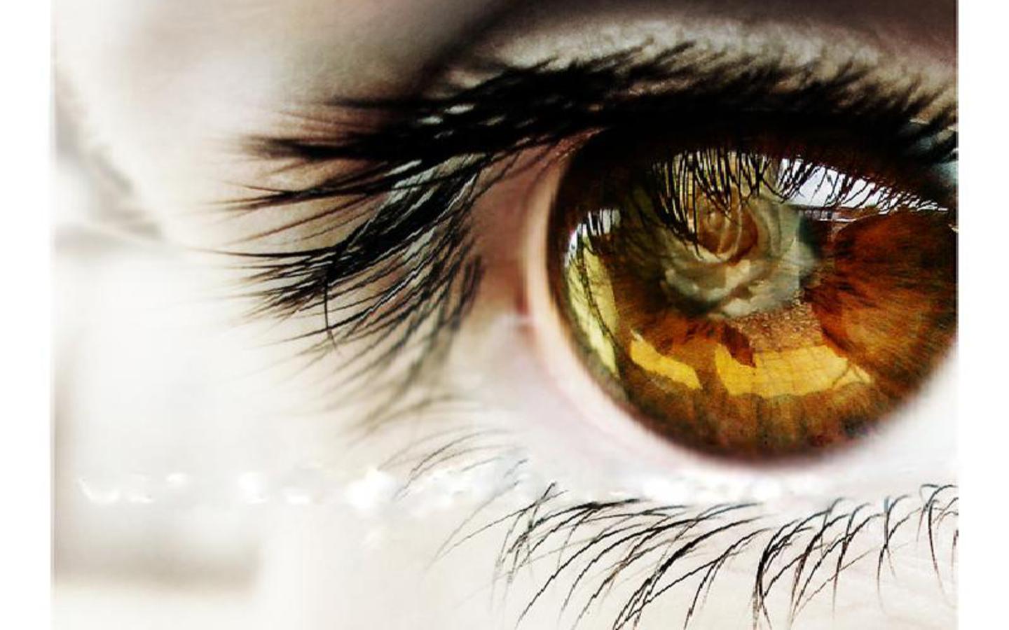 girls eyes wallpaper,eye,eyelash,close up,eyebrow,iris