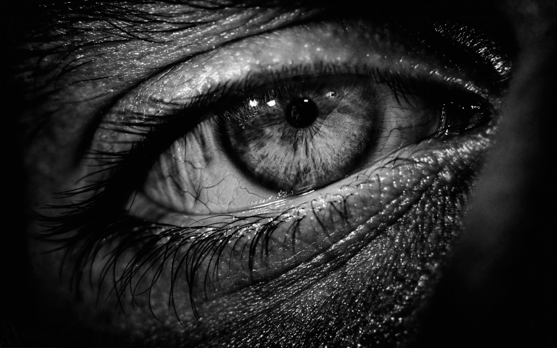 fond d'écran oeil noir,visage,œil,noir,fermer,sourcil