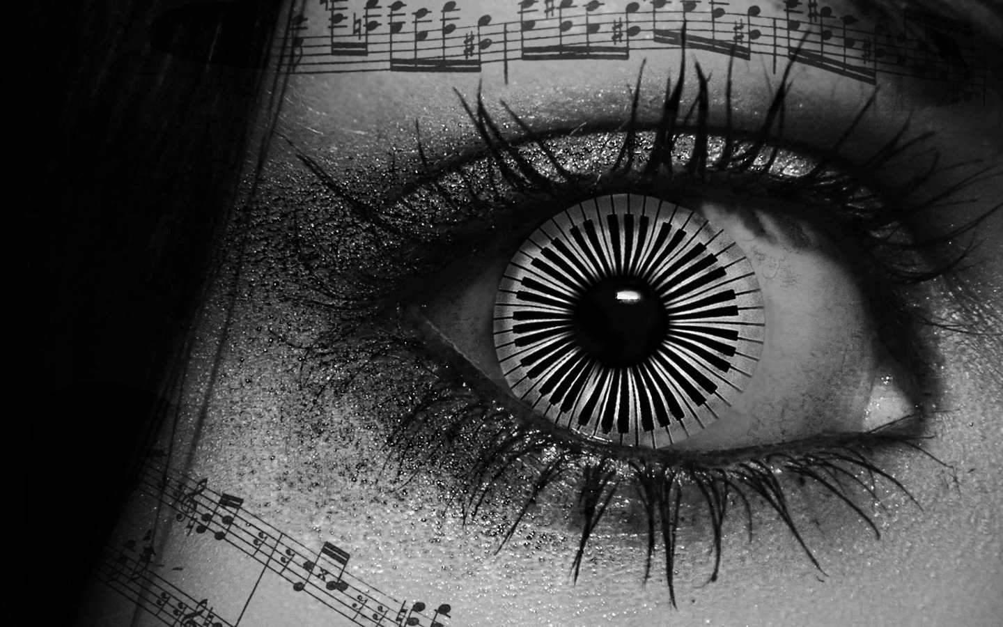 black eye wallpaper,eye,eyelash,iris,close up,organ