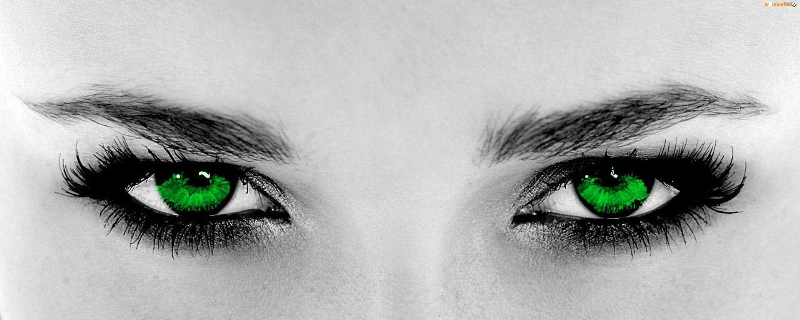 fond d'écran yeux verts,vert,visage,sourcil,œil,iris