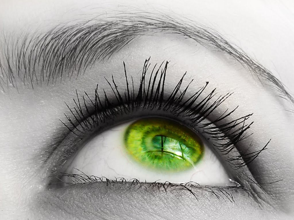 green eyes wallpaper,eyelash,eye,eyebrow,green,iris