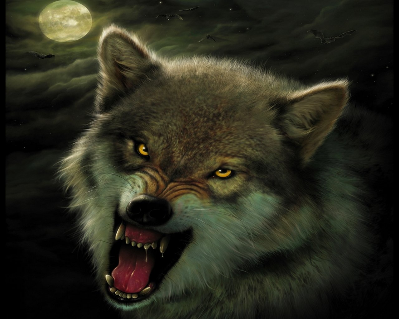 オオカミの目壁紙,狼,頭,野生動物,鼻,カニスループスツンドララム