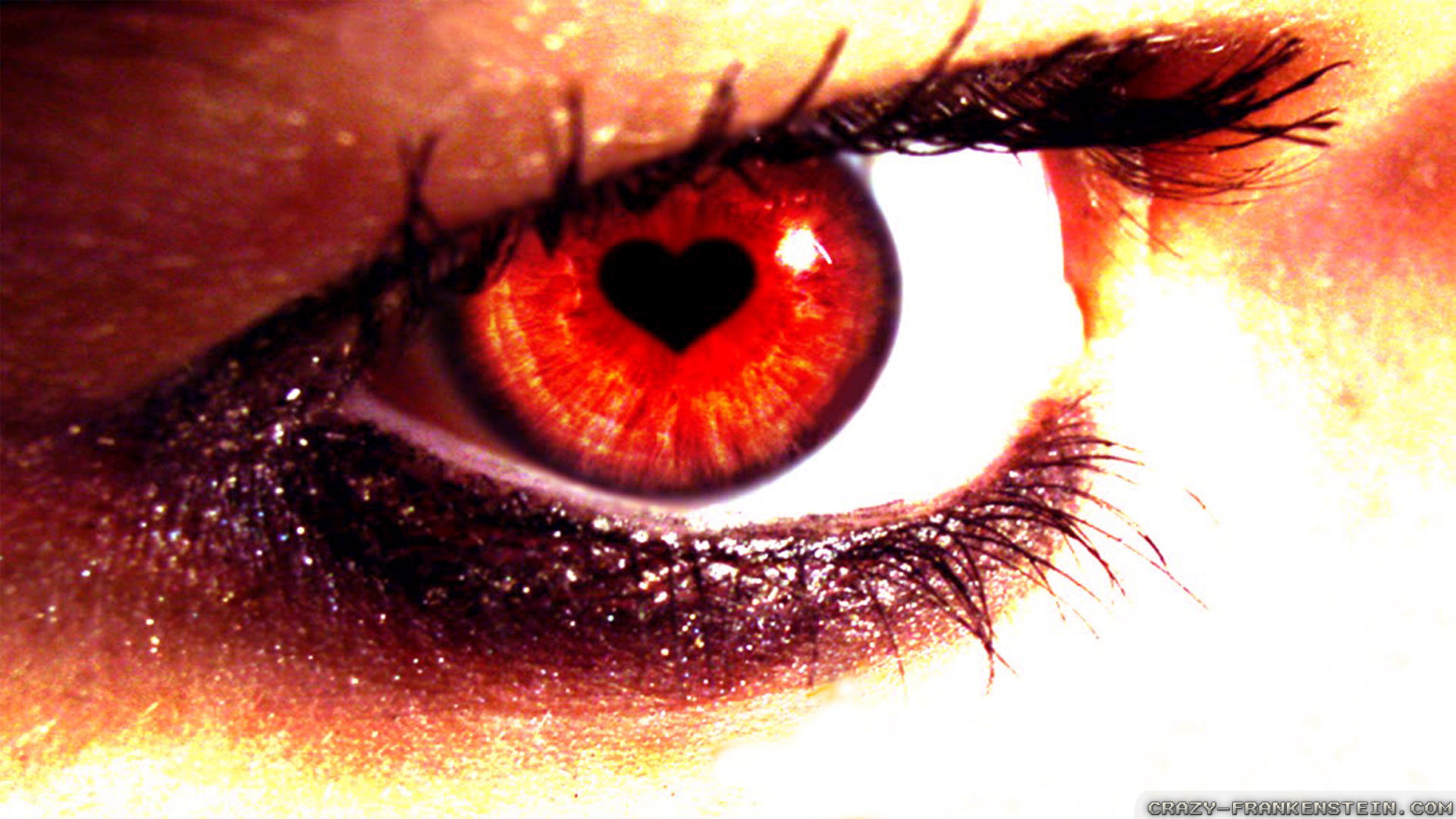 愛の目壁紙,眼,虹彩,閉じる,まつげ,赤
