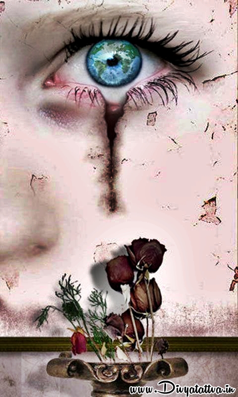 amor ojos fondo de pantalla,ojo,pestaña,planta,lágrimas,fotografía