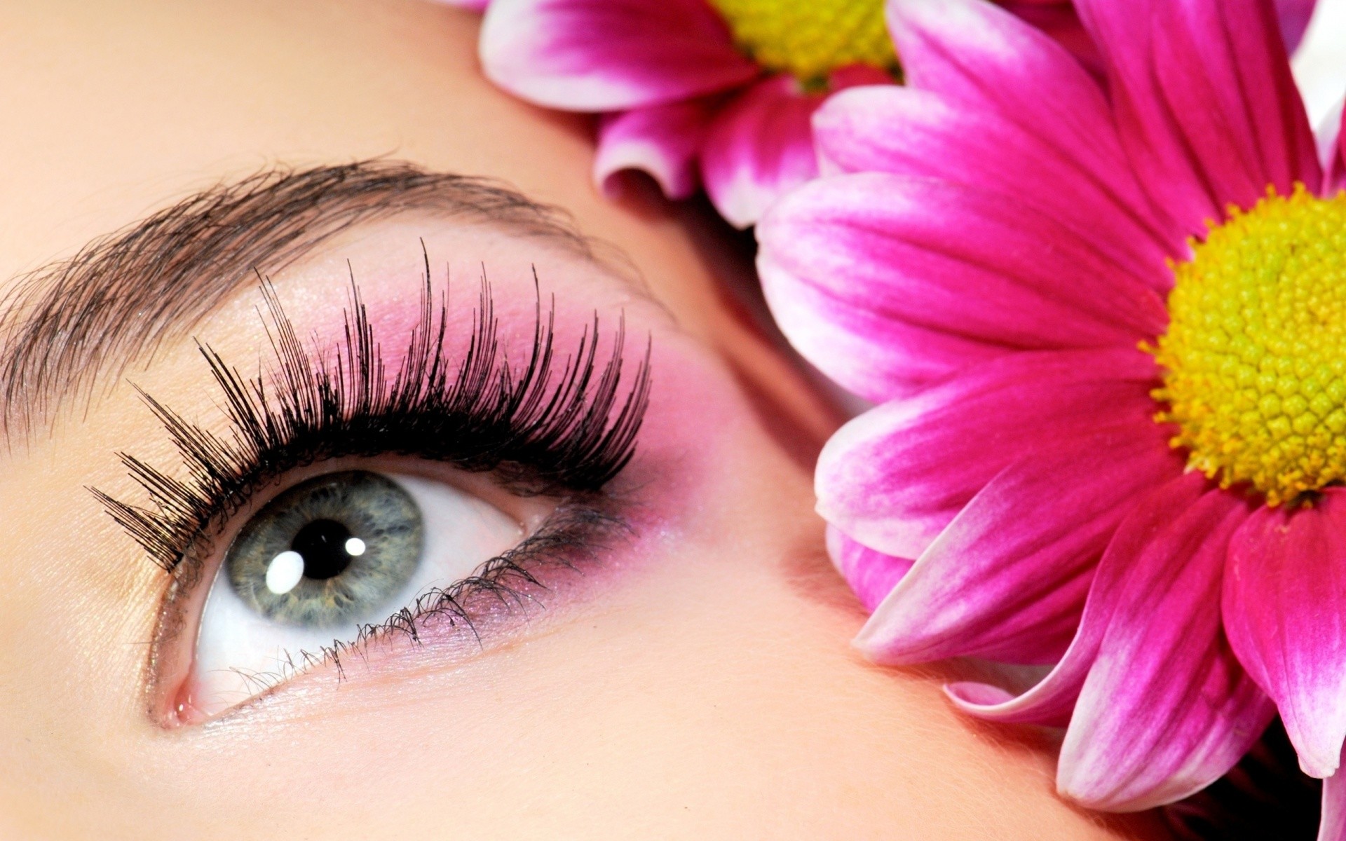 fond d'écran maquillage des yeux,cil,sourcil,œil,visage,rose