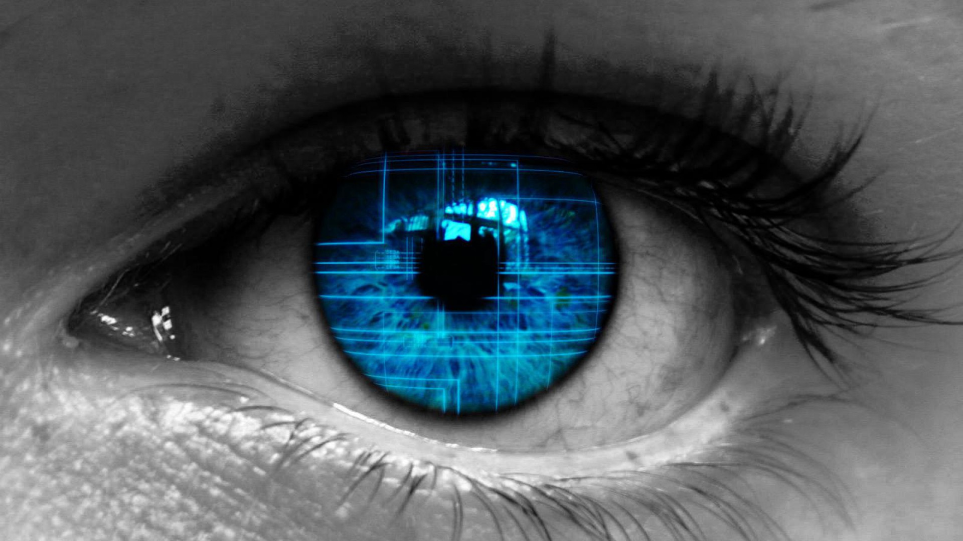 fondo de pantalla de ojos azules,azul,ojo,iris,pestaña,de cerca