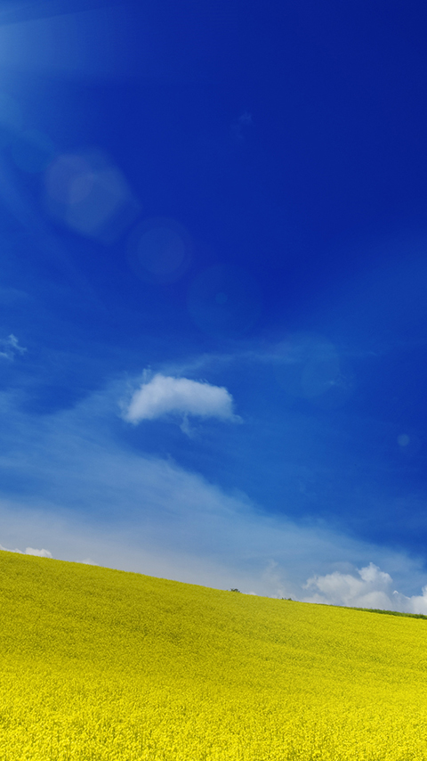 lg k7 wallpaper,sky,natural landscape,blue,grassland,nature