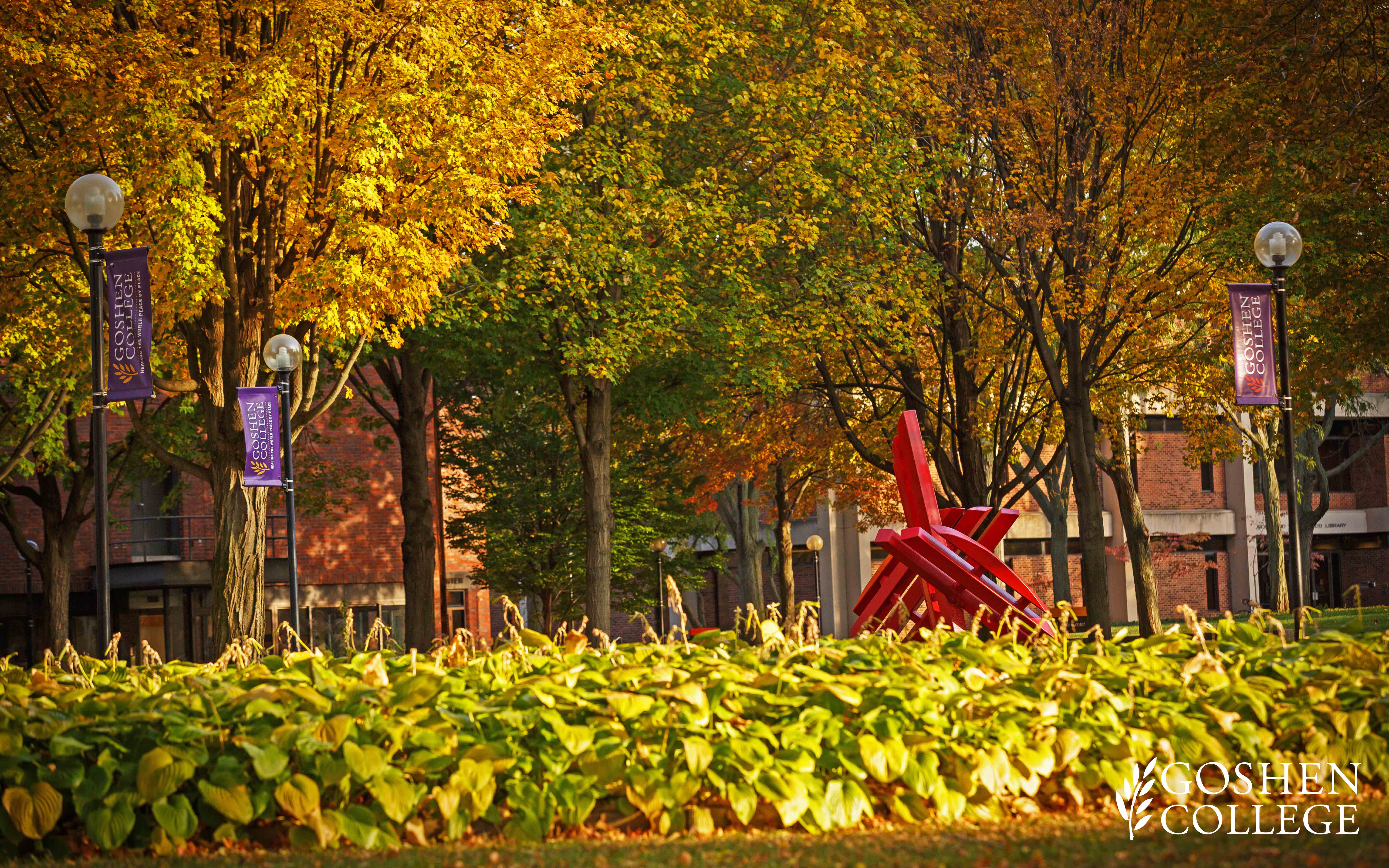 fondo de pantalla de estudiante universitario,hoja,naturaleza,árbol,otoño,amarillo