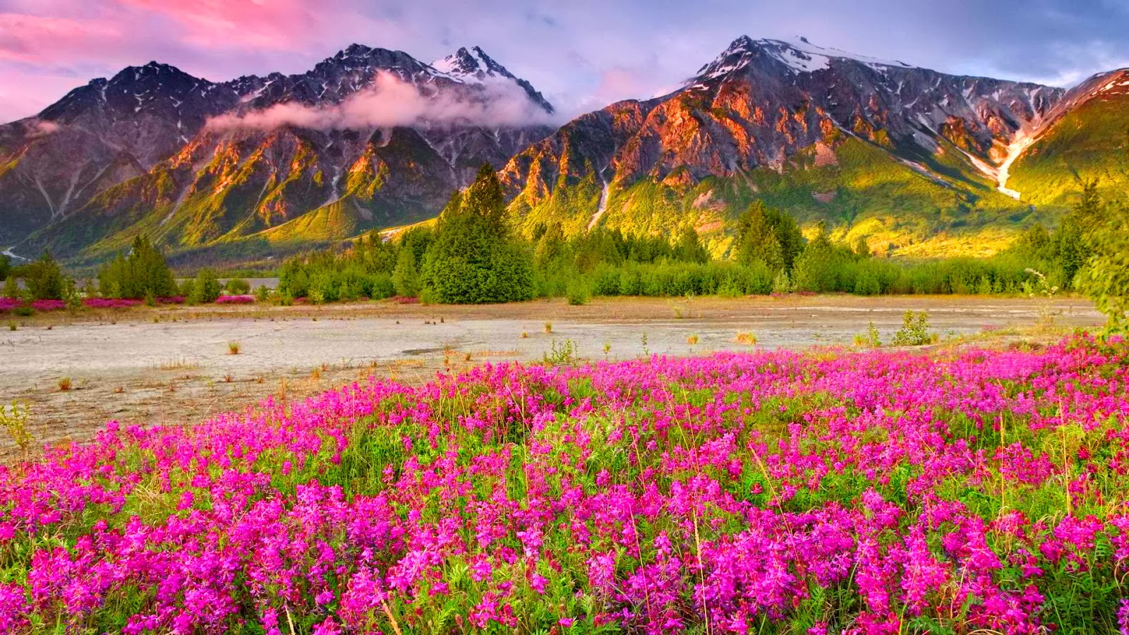 scenery wallpaper hd free download,natural landscape,nature,mountainous landforms,wilderness,flower