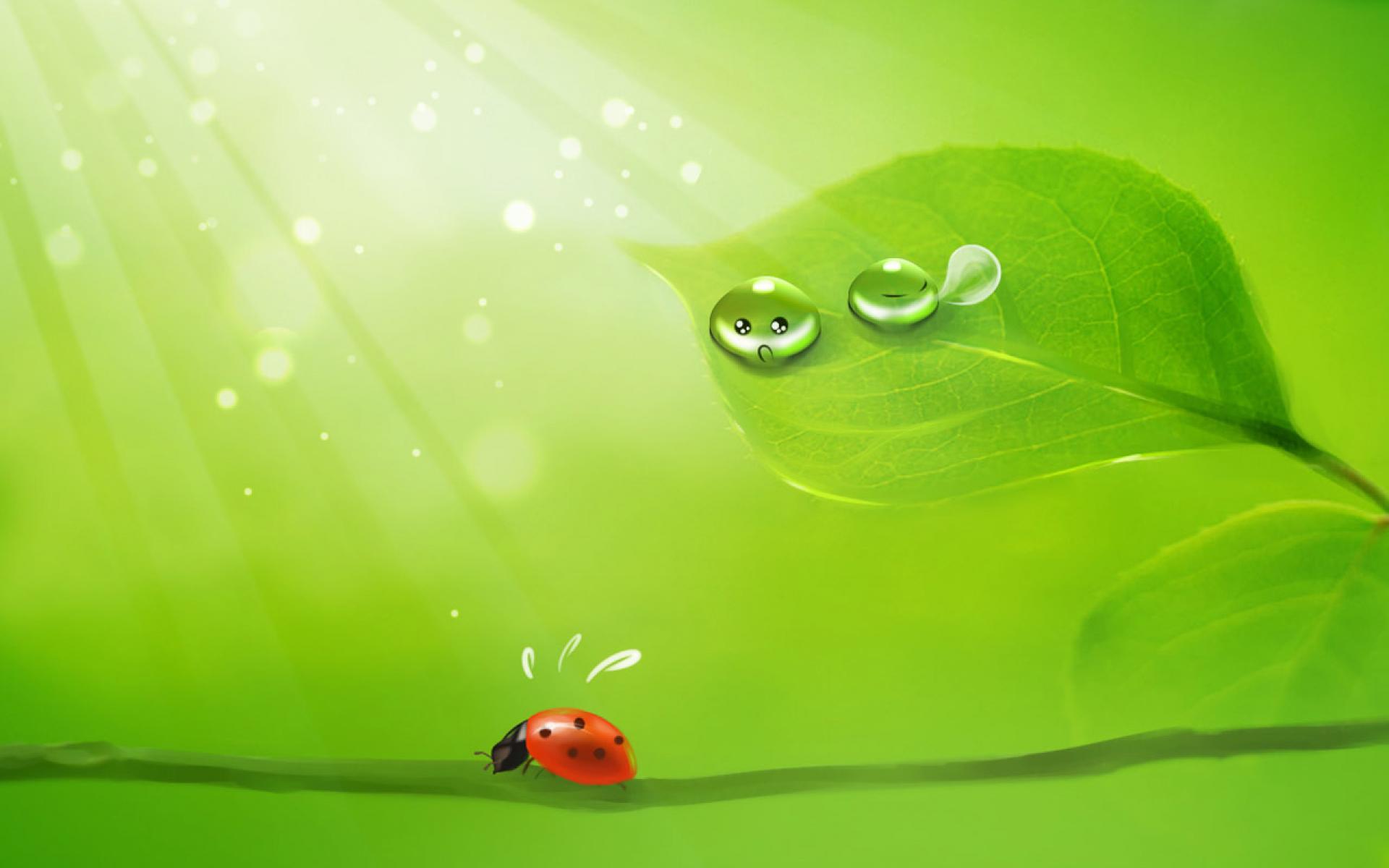 some cute wallpapers,green,water,dew,leaf,macro photography