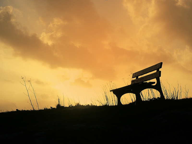 top 20 hintergrundbilder,himmel,wolke,sonnenuntergang,morgen,gras