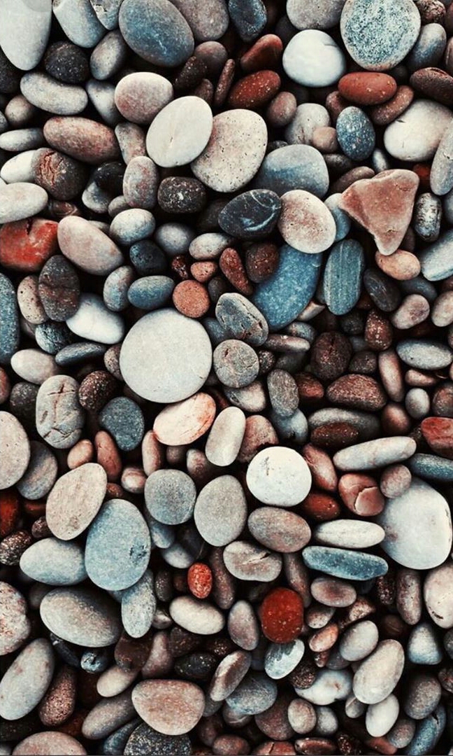 top 20 wallpapers,pebble,gravel,rock,plant,pattern