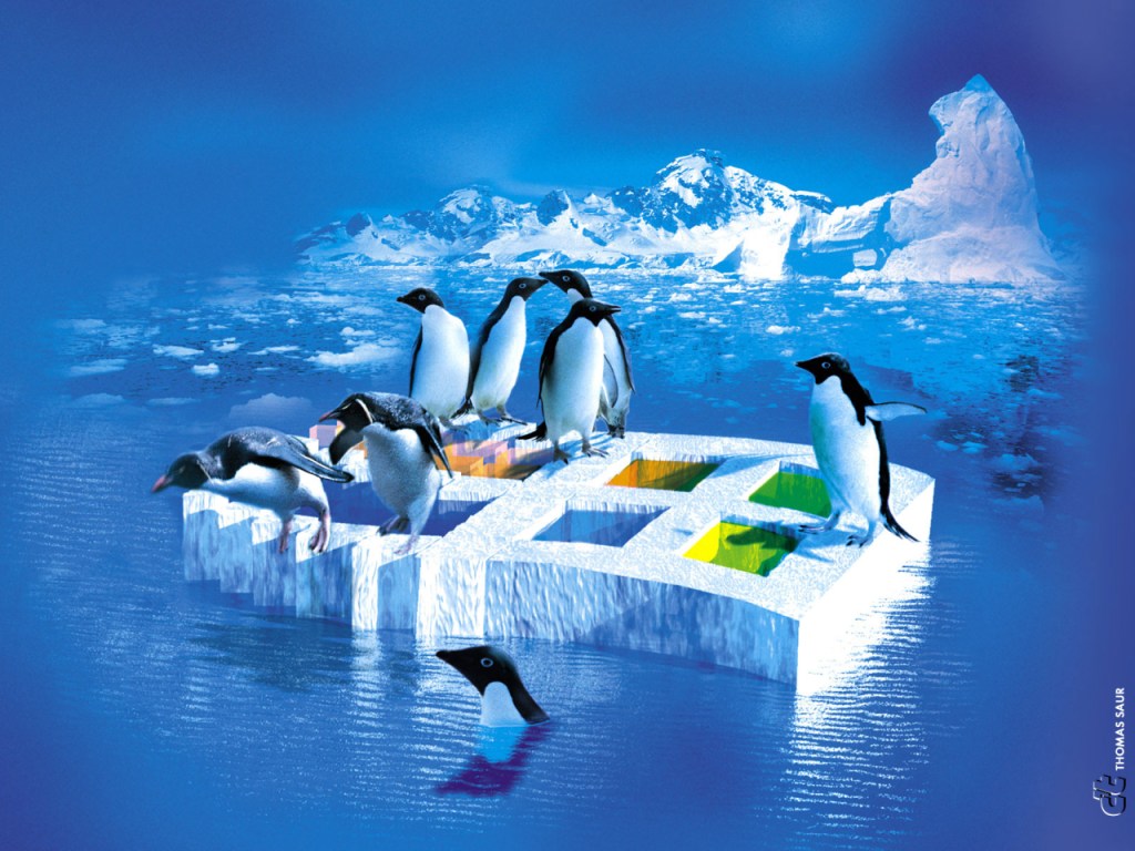 primi 20 sfondi,pinguino,uccello incapace di volare,iceberg,ghiaccio,paesaggio naturale