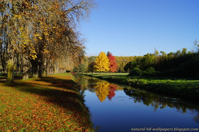 schöne tapeten der natur für den desktop kostenloser download,natürliche landschaft,natur,betrachtung,baum,wasserweg