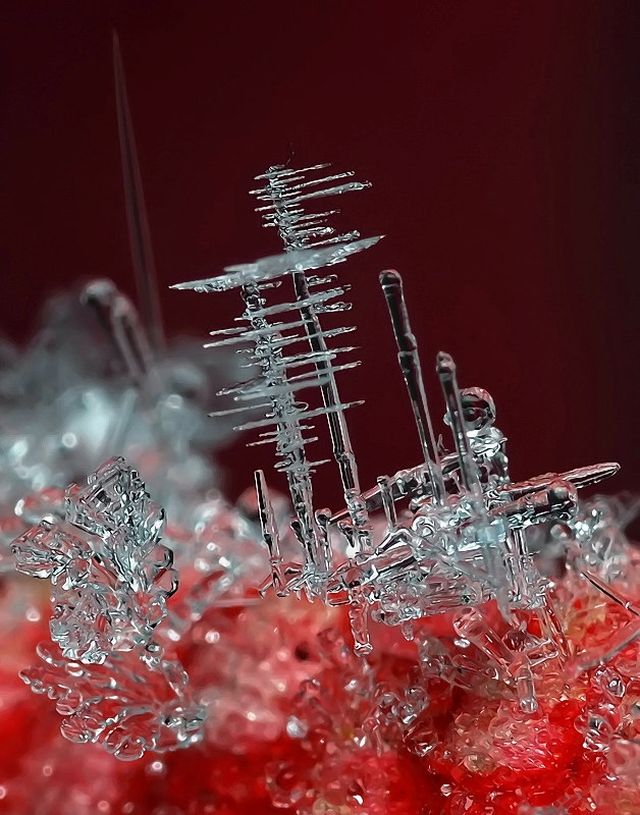 some beautiful wallpapers,water,red,macro photography,liquid,glass