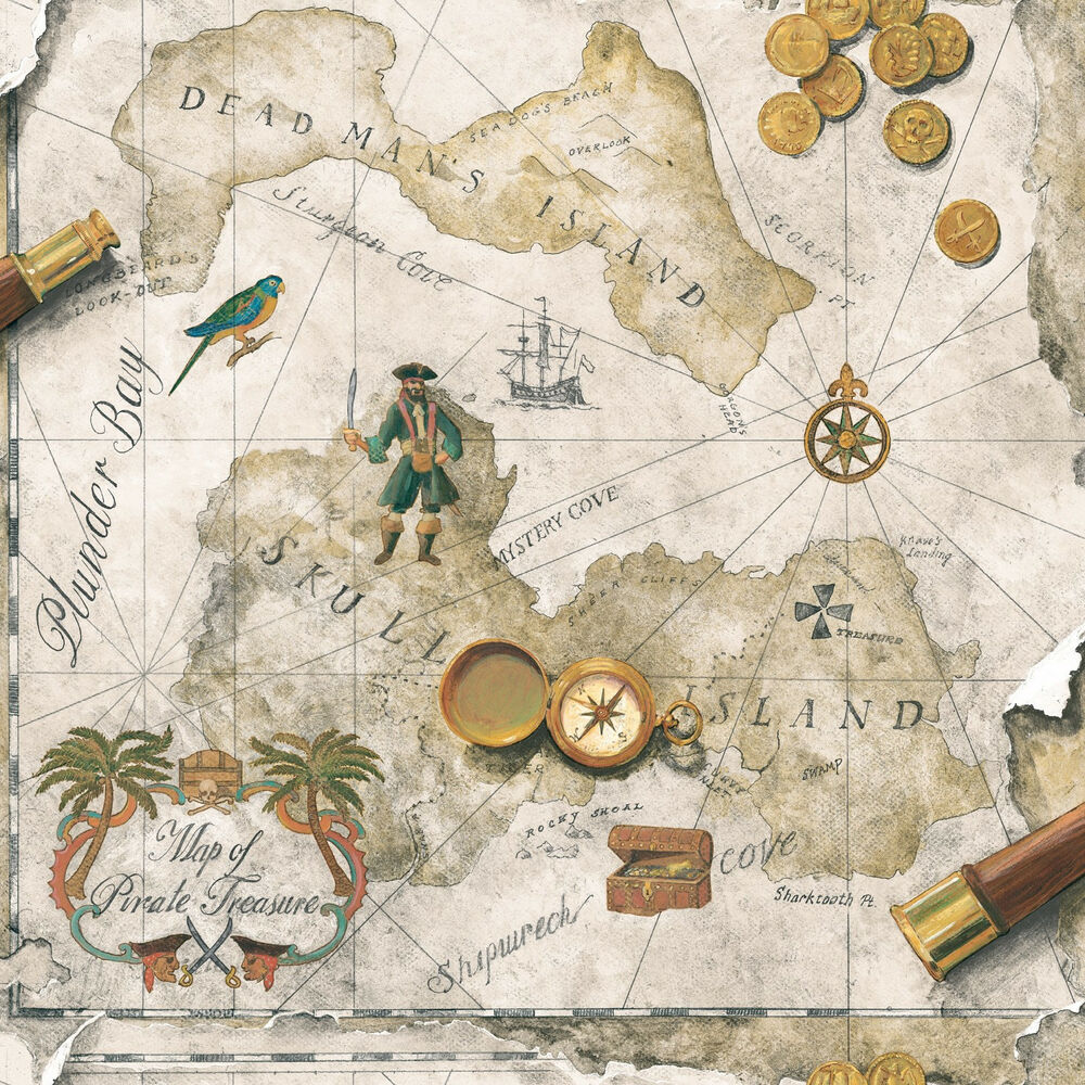 pirate map wallpaper,map,still life,illustration,plant,art