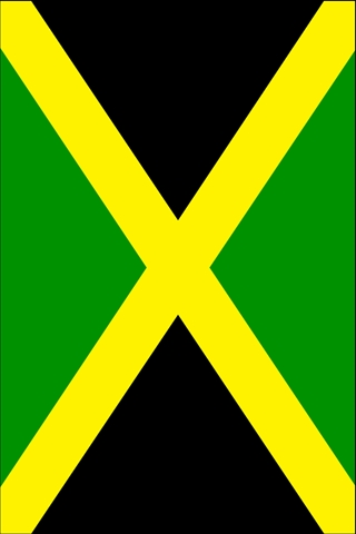 jamaica iphone wallpaper,green,flag,yellow,line,pattern