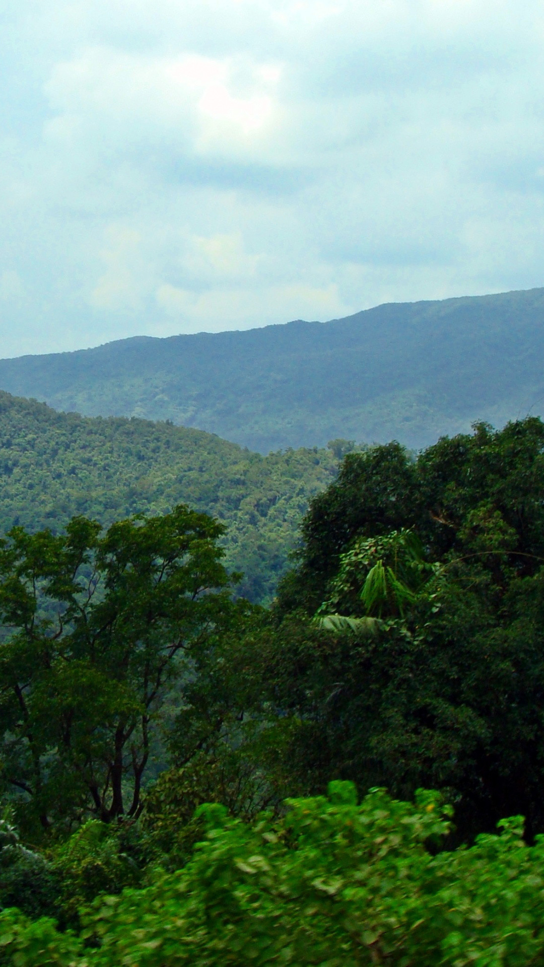 ジャマイカiphoneの壁紙,丘駅,自然,自然の風景,密林,森林
