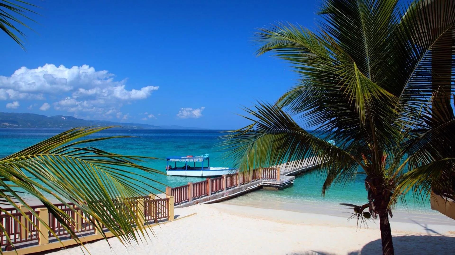 jamaica fondo de pantalla para iphone,caribe,árbol,vacaciones,palmera,recurso