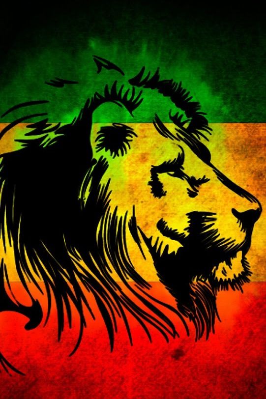 fond d'écran iphone de la jamaïque,lion,faune,félidés,gros chats,illustration