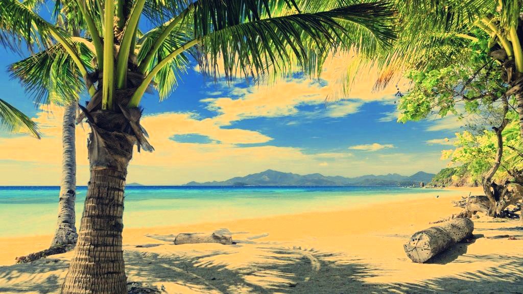 jamaica wallpaper hd,nature,natural landscape,tree,tropics,palm tree