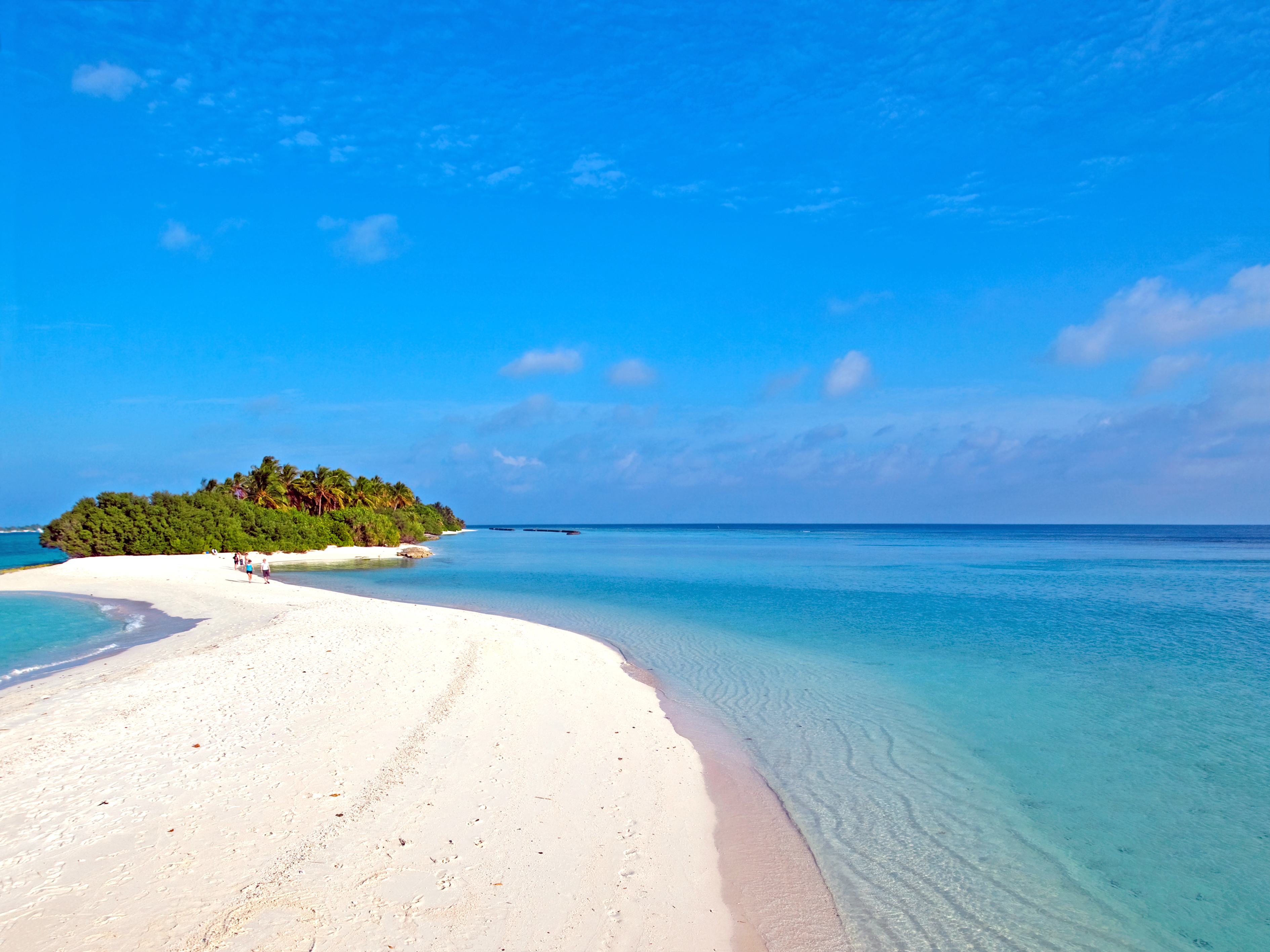 playa fondo de pantalla,cuerpo de agua,mar,playa,azul,costa