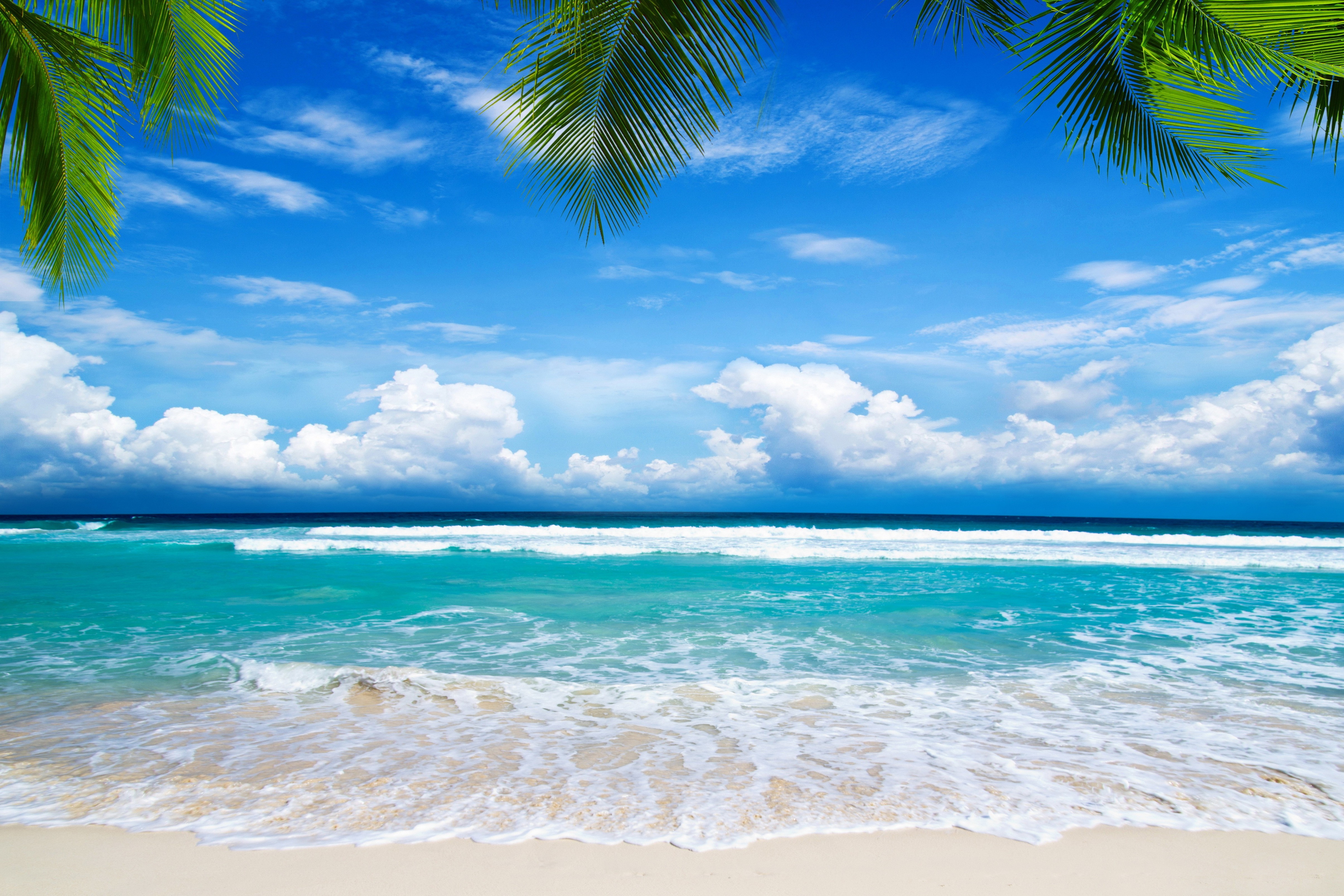 playa fondo de pantalla,cuerpo de agua,cielo,oceano,naturaleza,mar