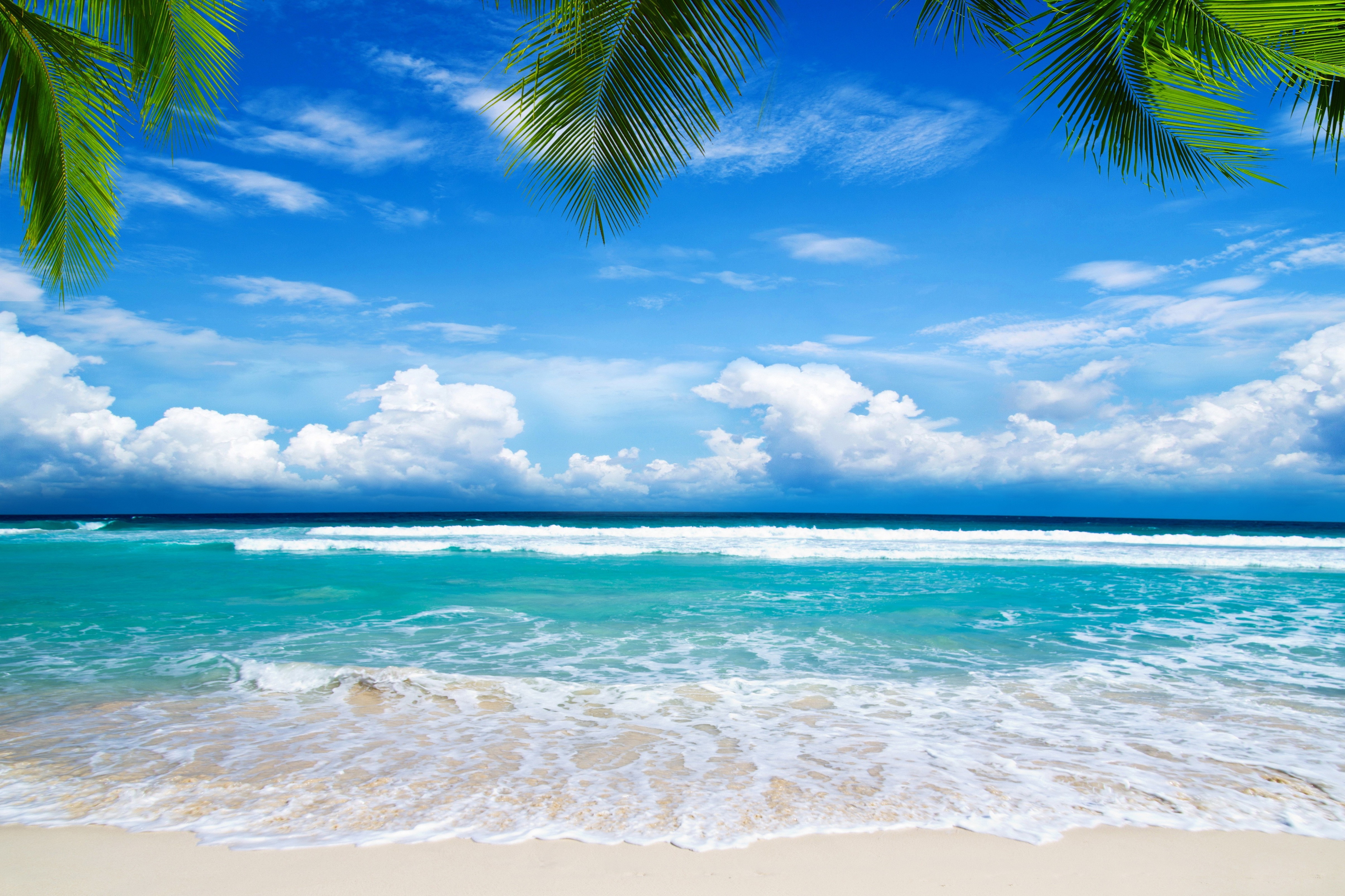 beach background wallpaper,body of water,sky,ocean,nature,tropics