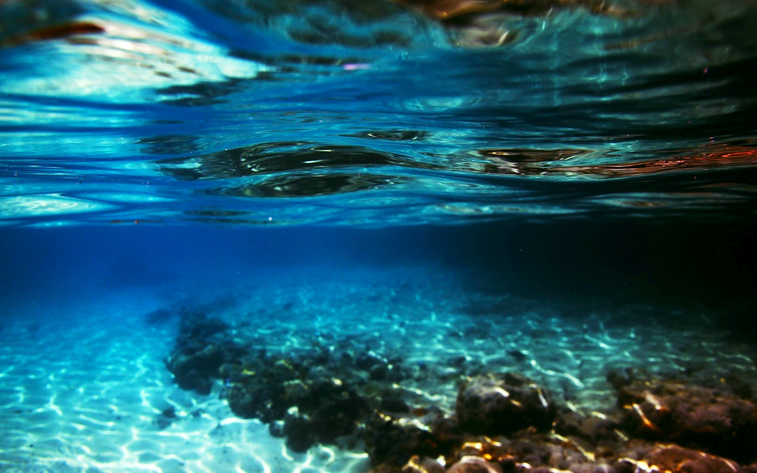 unterwasser desktop hintergrund,blau,wasser,natur,himmel,türkis