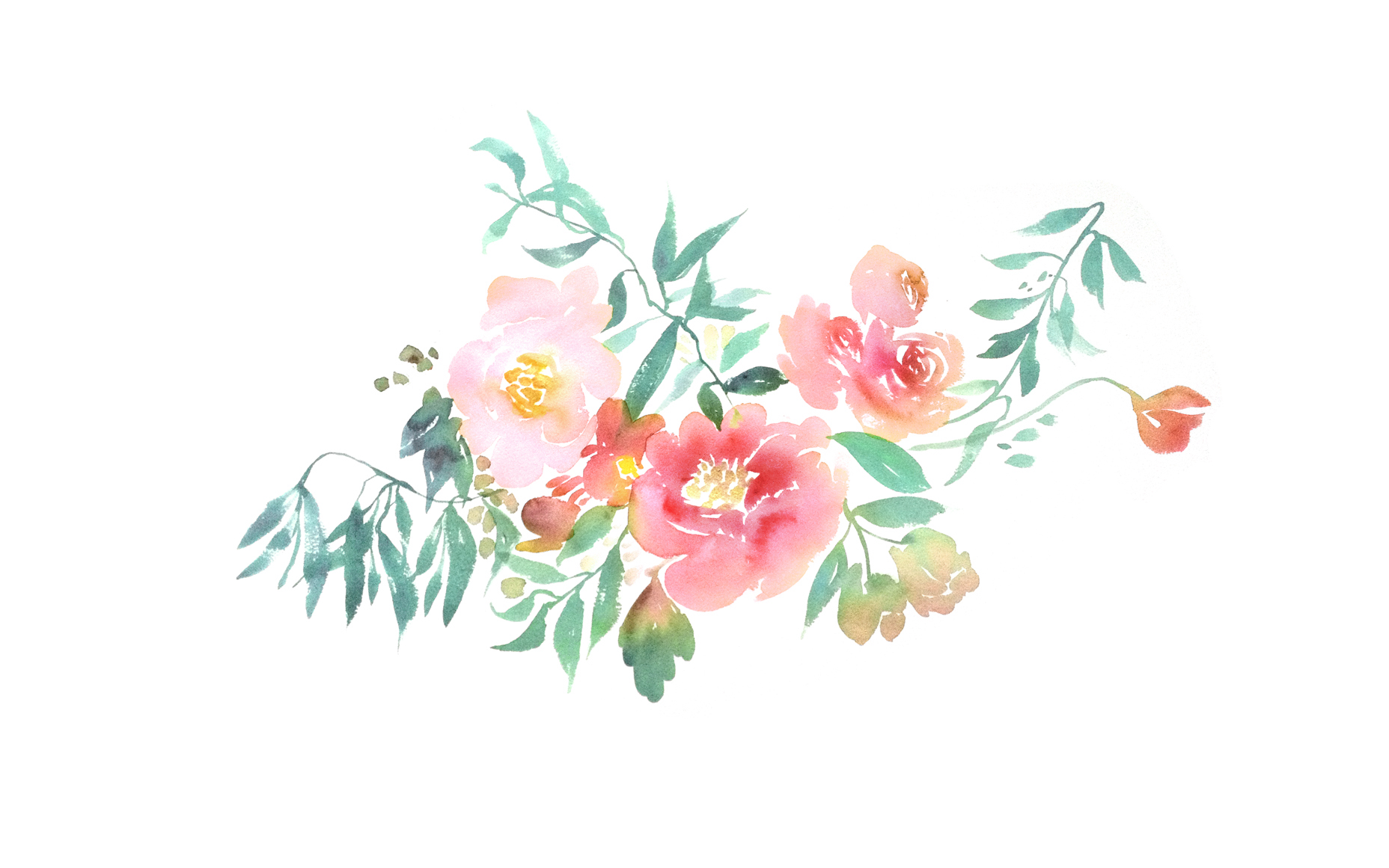 chic desktop wallpaper,flower,pink,plant,botany,flowering plant