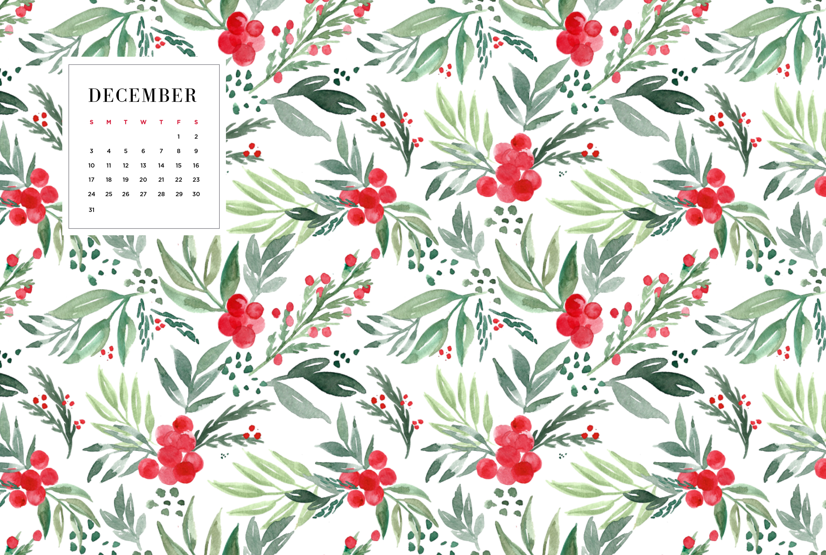 december desktop wallpaper,flower,red,pattern,plant,botany