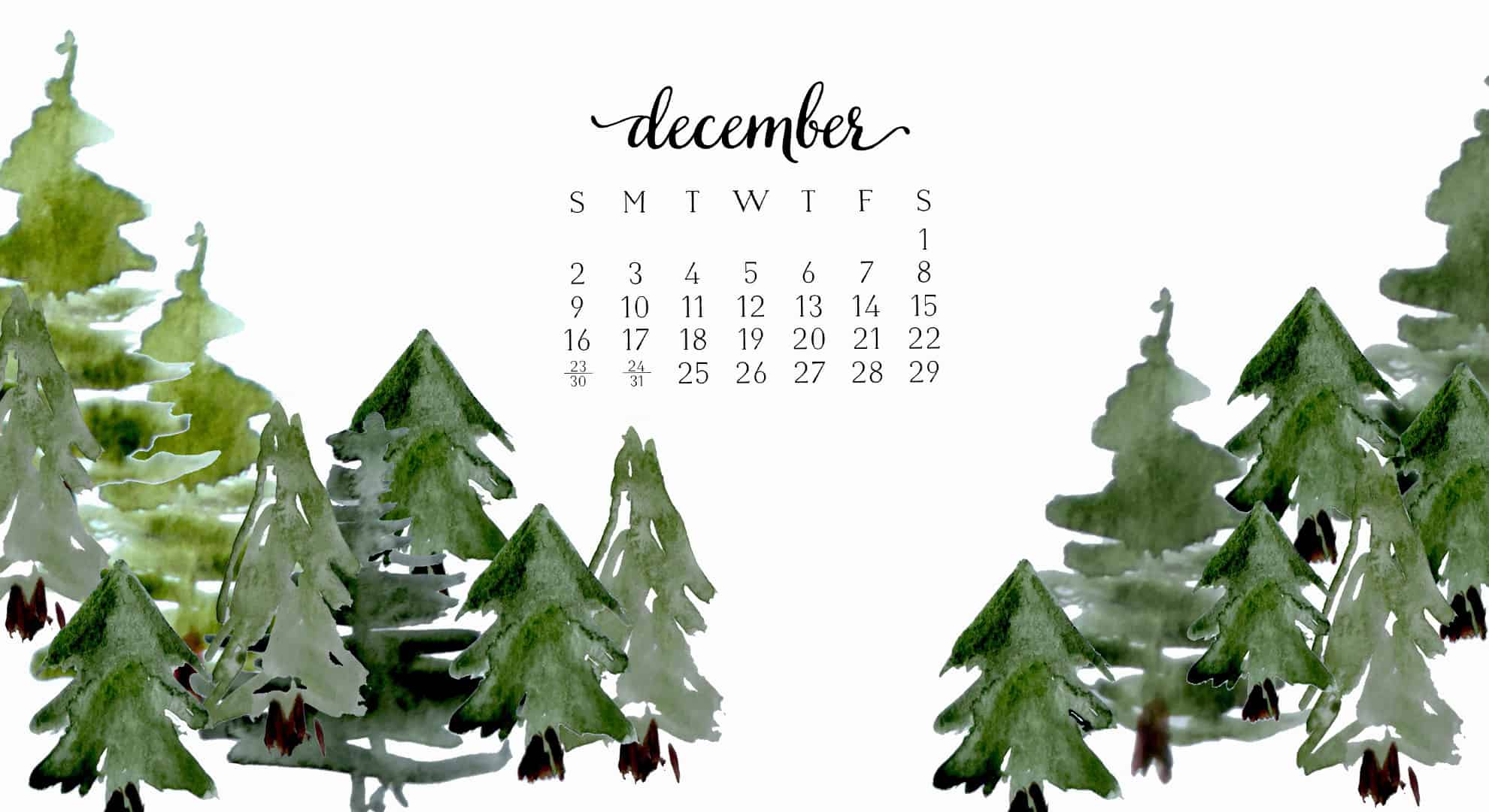 dicembre sfondo del desktop,foglia,albero,pianta,aereo,fiore
