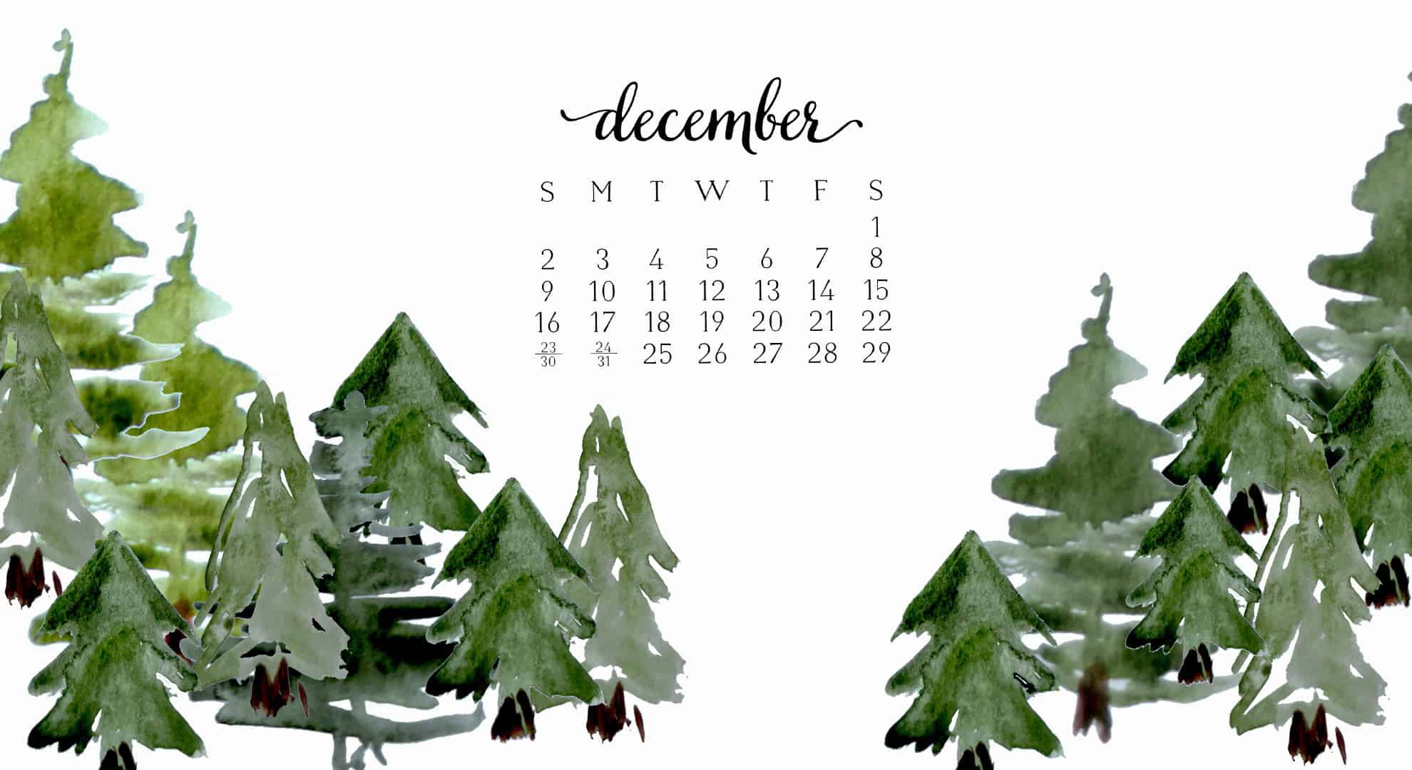 dezember desktop hintergrund,blatt,baum,pflanze,flugzeug,blume