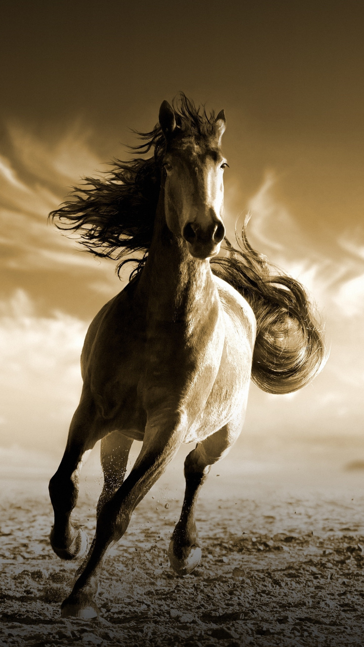 running wallpaper iphone,horse,mustang horse,stallion,mane,sky