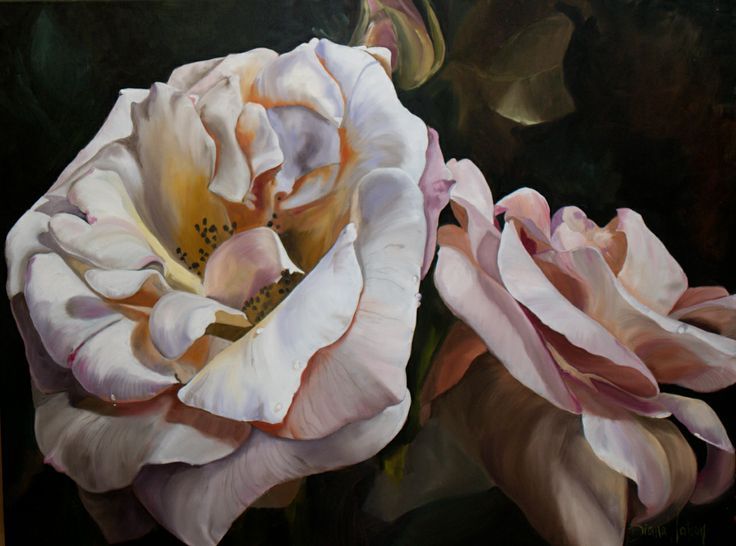 ダイアナ・ワトソン壁紙,花弁,ピンク,白い,花,庭のバラ
