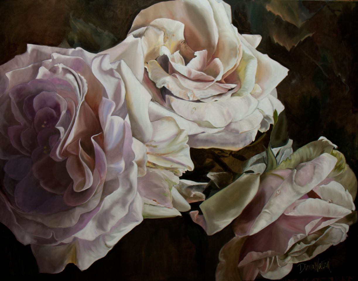 diana watson wallpaper,garden roses,flower,rose,petal,pink