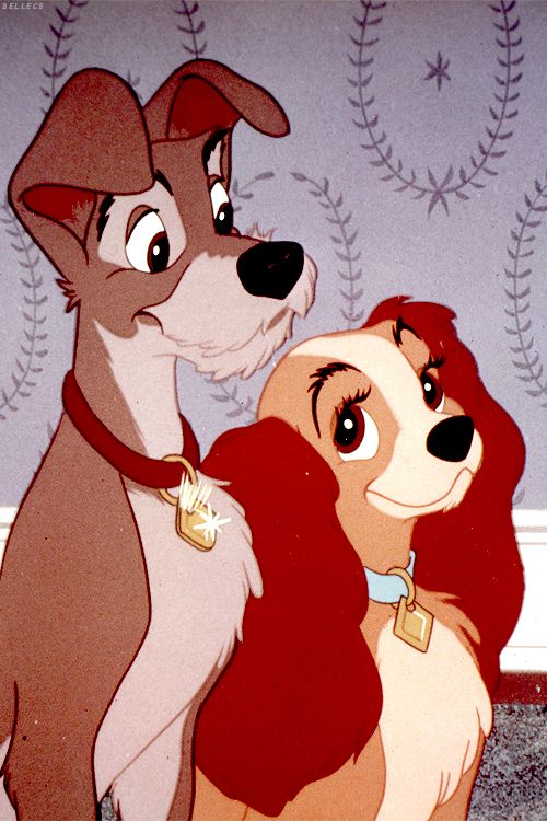 lady and the tramp wallpaper,animated cartoon,cartoon,mammal,dog,canidae