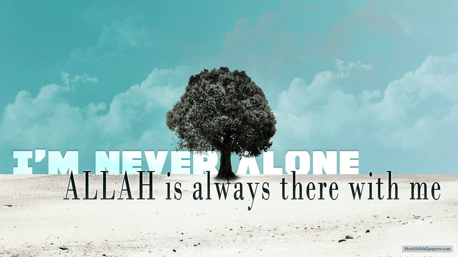 islamic quotes wallpaper hd,font,text,tree,adaptation,sky