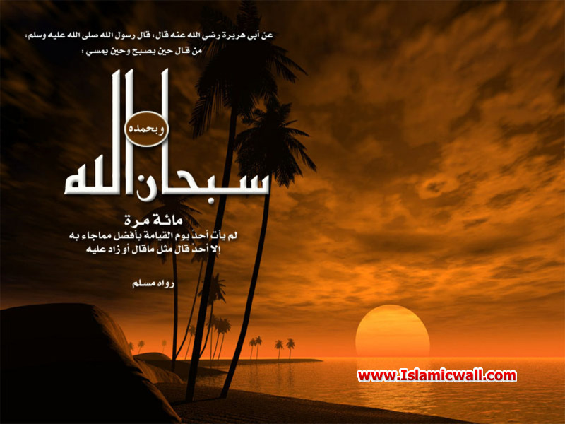 download wallpaper islami,sky,font,tree,photography,graphic design