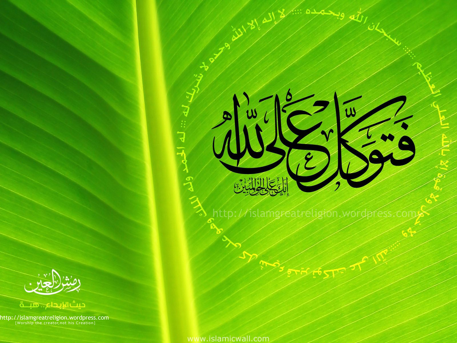 gambar islamic wallpaper,green,banana leaf,leaf,font,plant