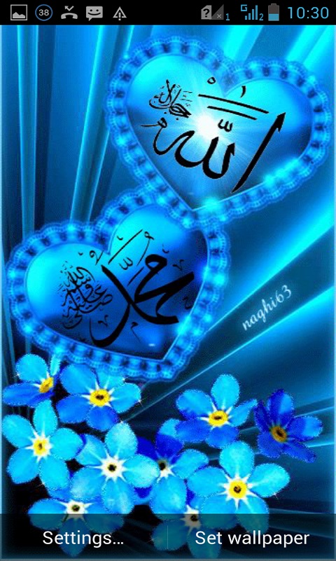 carta da parati islamica per android,blu,blu elettrico,pianta,fiore