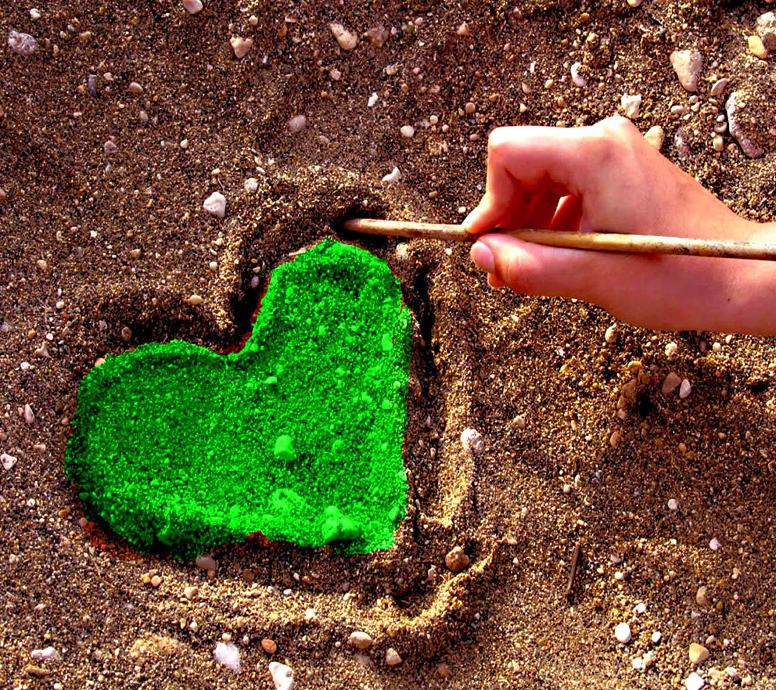 musalmani 벽지,초록,심장,잔디,모래,이끼