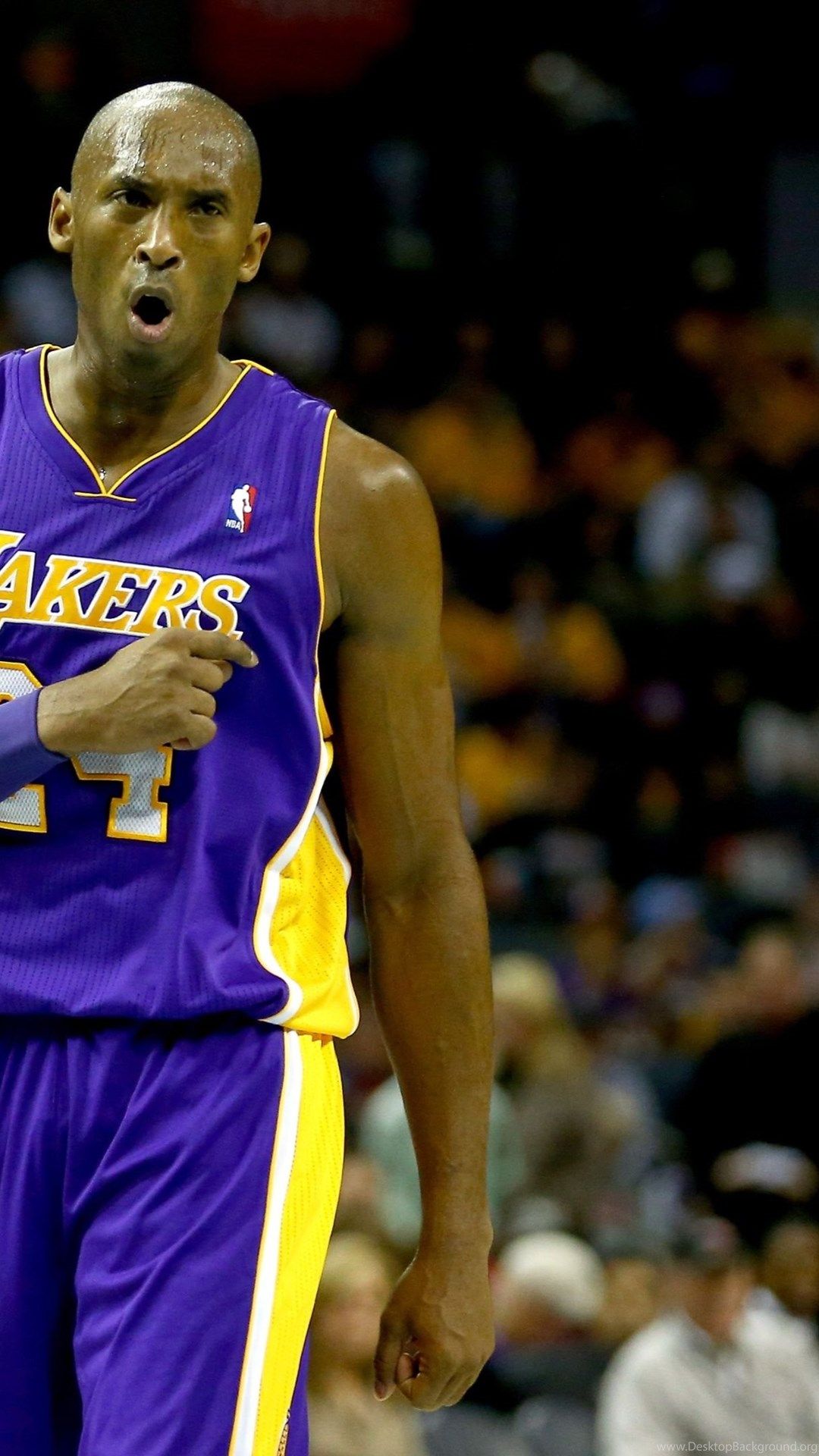 fondo de pantalla de kobe bryant,deportes,jugador de baloncesto,jugador,baloncesto,movimientos de baloncesto