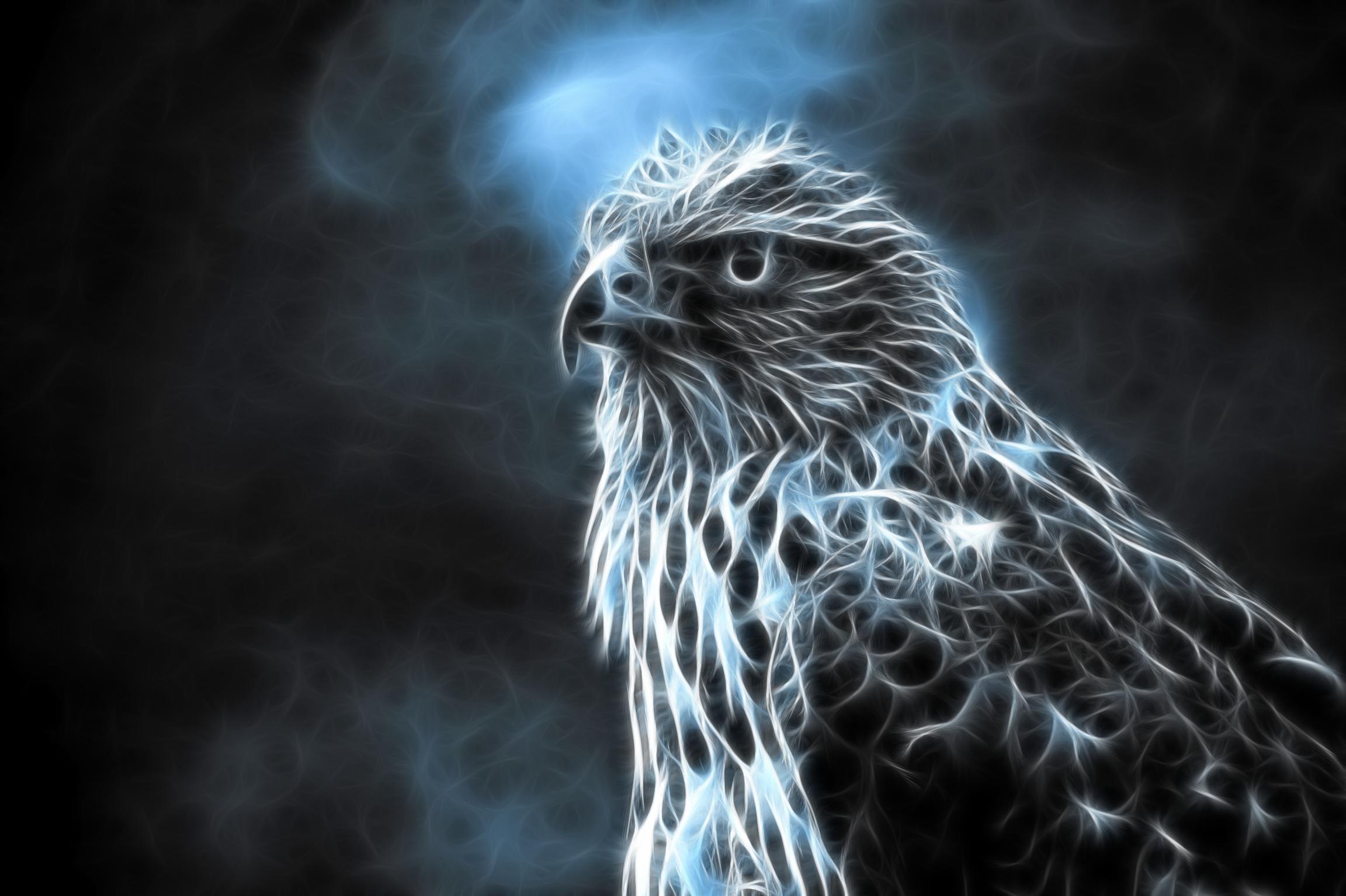 eagle wallpaper,nature,bird of prey,organism,darkness,bird