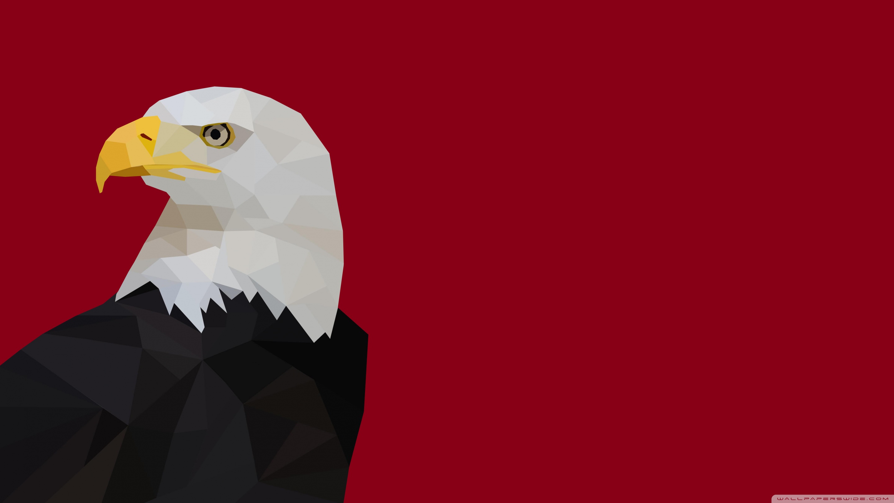 eagle wallpaper,bald eagle,eagle,bird,bird of prey,beak