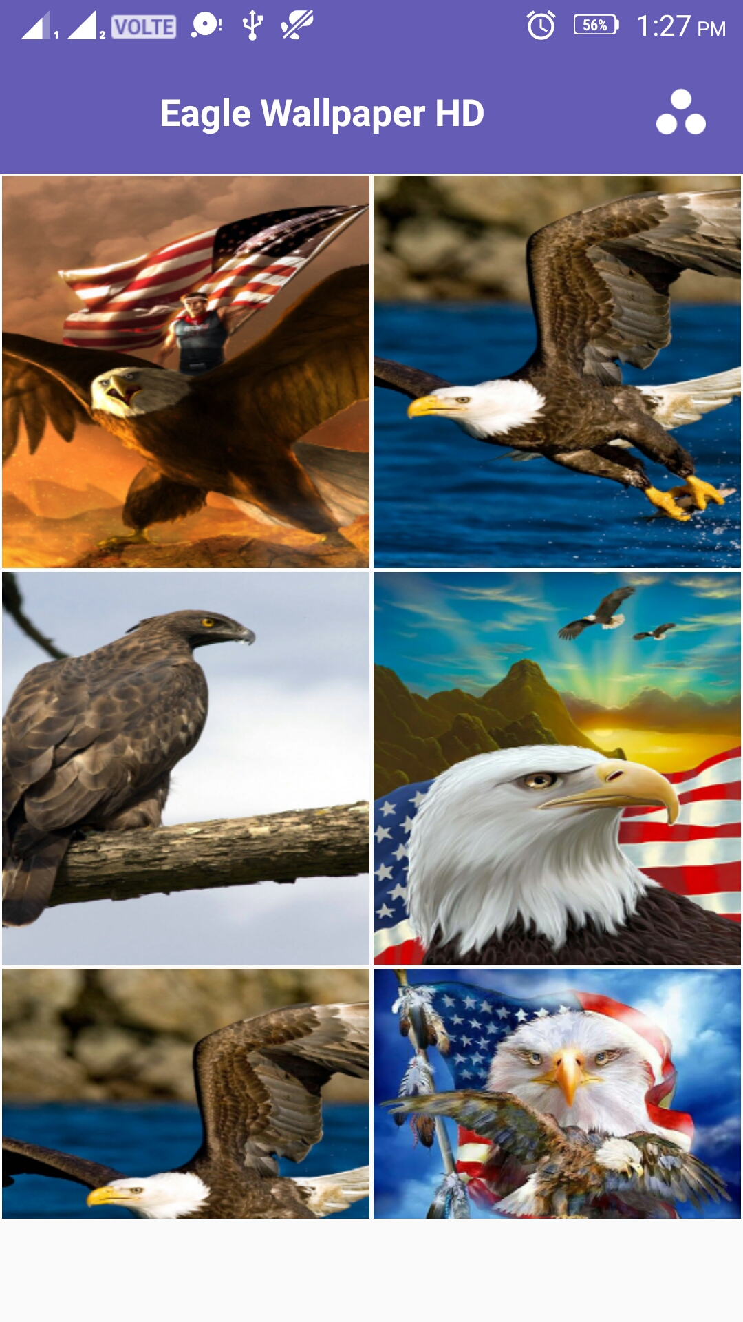 eagle wallpaper,bald eagle,bird,eagle,bird of prey,accipitridae