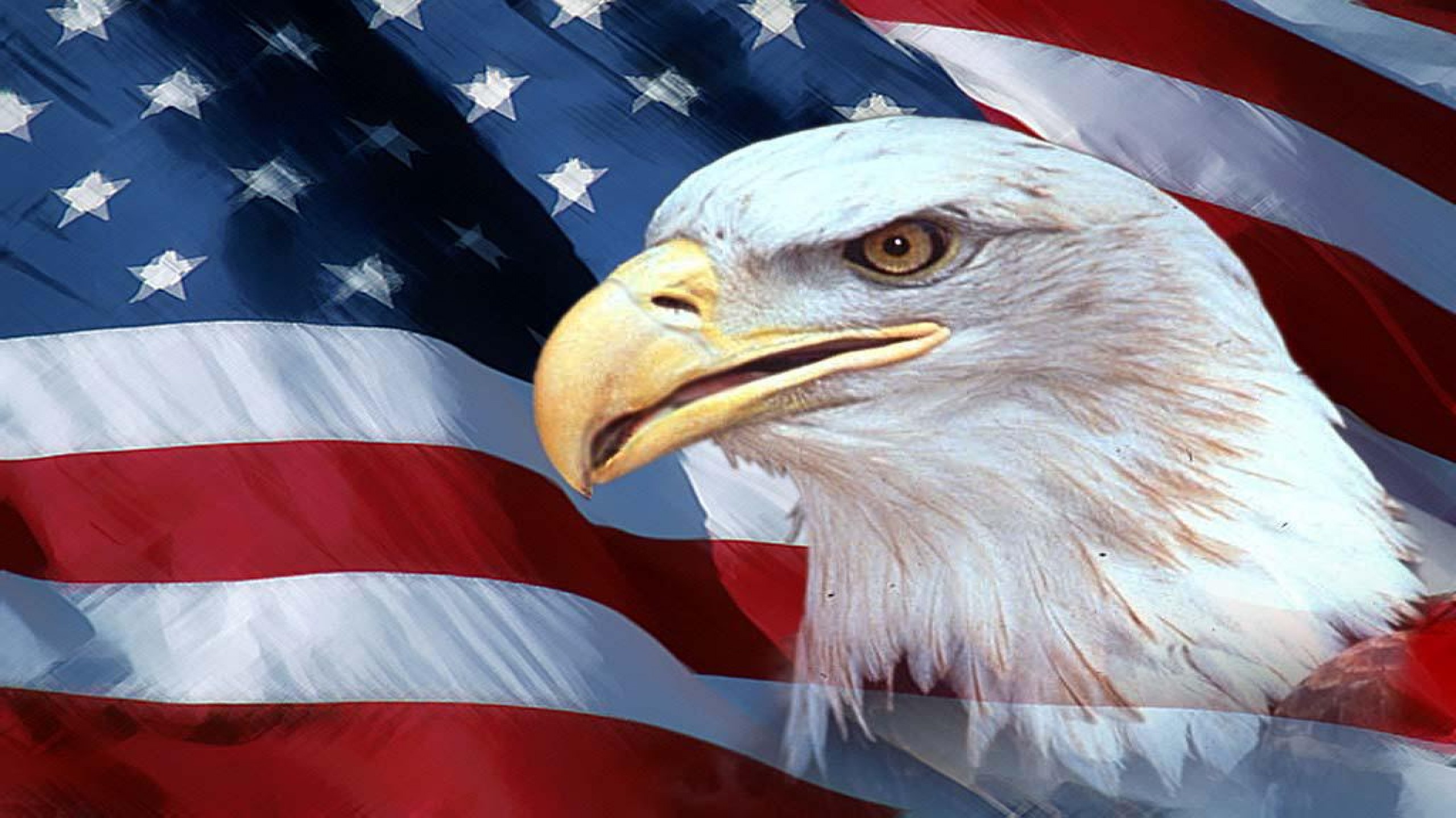アメリカの壁紙 アメリカ合衆国の旗 国旗 アメリカの旗の日 退役軍人の日 独立記念日 Wallpaperuse アメリカの壁紙 アメリカ合衆国の旗 国旗 アメリカの旗の日 退役軍人の日 独立記念日 Wallpaperuse
