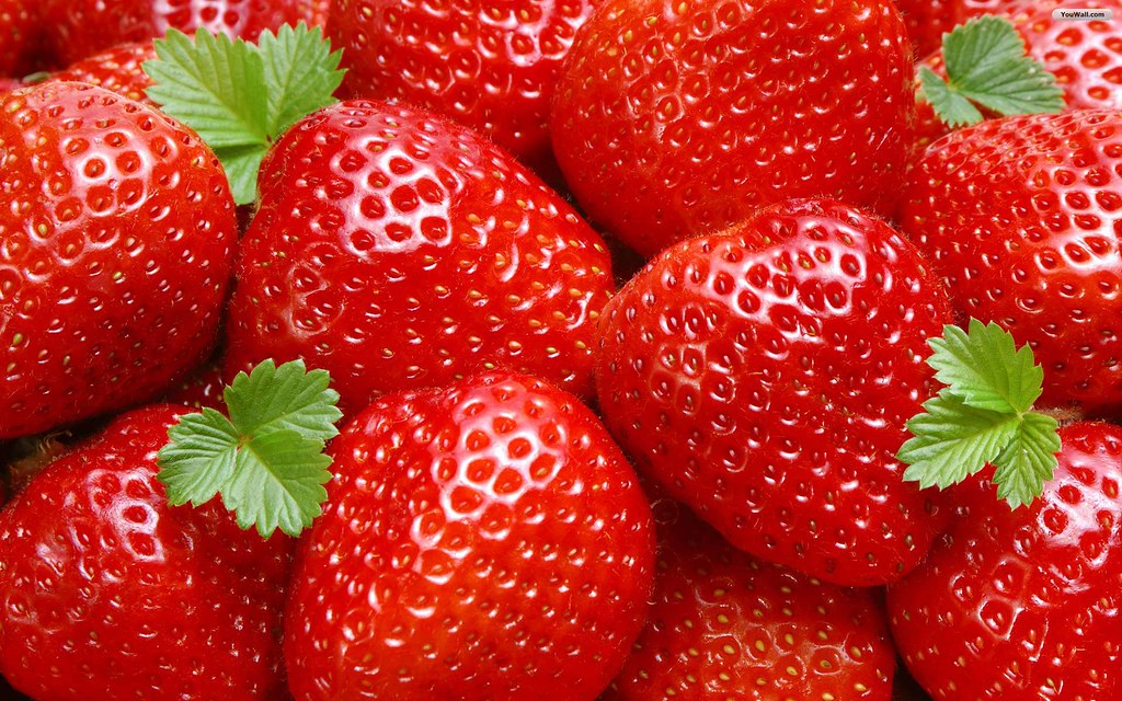 fruit wallpaper,natural foods,strawberry,strawberries,fruit,frutti di bosco